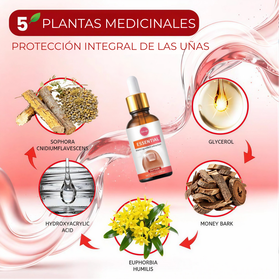 Tratamiento Profesional Anti Hongos